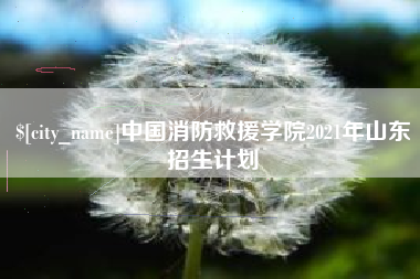 万宁中国消防救援学院2021年山东招生计划