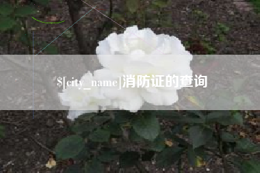 万宁消防证的查询