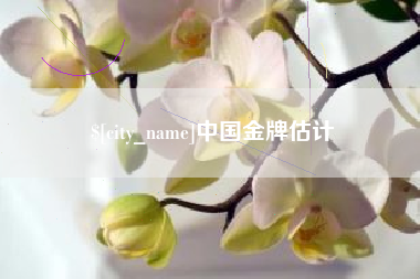 万宁中国金牌估计