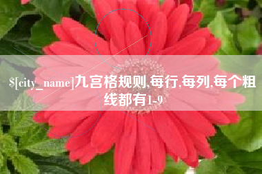 万宁九宫格规则,每行,每列,每个粗线都有1-9