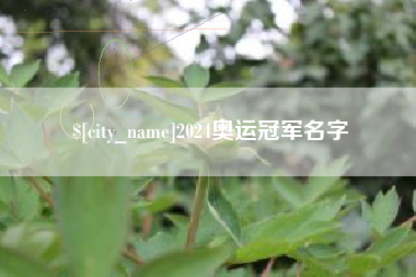 万宁2024奥运冠军名字