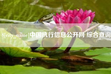 万宁中国执行信息公开网 综合查询