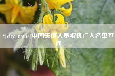 万宁中国失信人员被执行人名单查询