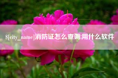万宁消防证怎么查询,用什么软件