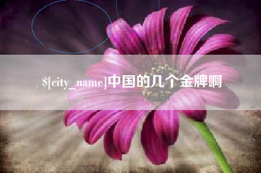 万宁中国的几个金牌啊