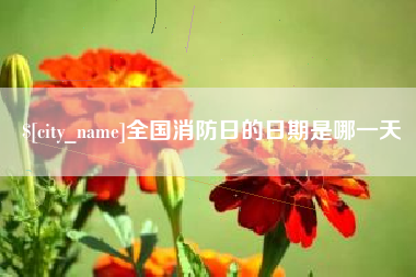 万宁全国消防日的日期是哪一天