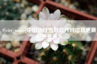 万宁中国执行信息公开网信息更新时间是多久