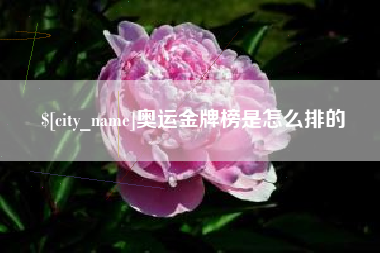 万宁奥运金牌榜是怎么排的