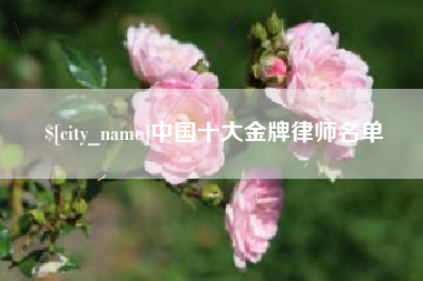 万宁中国十大金牌律师名单