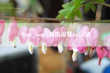 万宁消防设备ccc认证