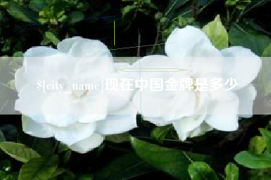 万宁现在中国金牌是多少