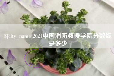 万宁2021中国消防救援学院分数线是多少