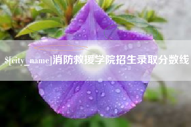 万宁消防救援学院招生录取分数线