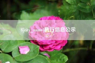 万宁执行信息公示
