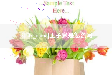 万宁王子豪是怎么写