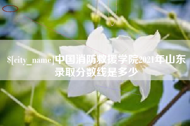 万宁中国消防救援学院2021年山东录取分数线是多少