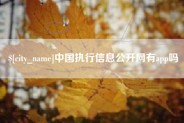 万宁中国执行信息公开网有app吗