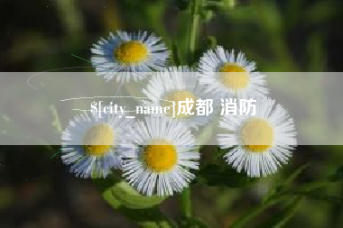 万宁成都 消防