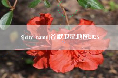 万宁谷歌卫星地图2025