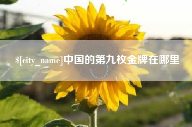 万宁中国的第九枚金牌在哪里