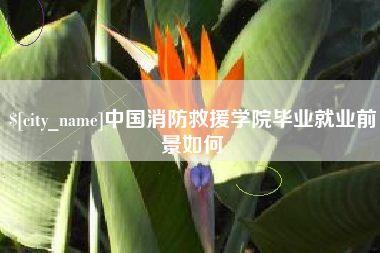万宁中国消防救援学院毕业就业前景如何