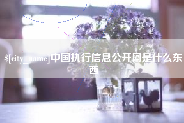 万宁中国执行信息公开网是什么东西