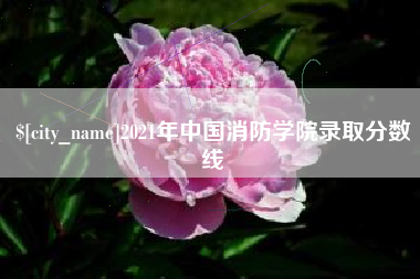 万宁2021年中国消防学院录取分数线