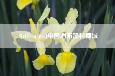 万宁中国消防器材商城