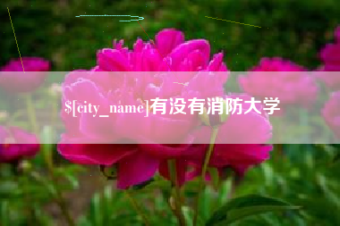 万宁有没有消防大学