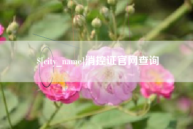 万宁消控证官网查询