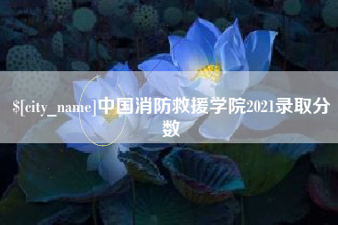 万宁中国消防救援学院2021录取分数
