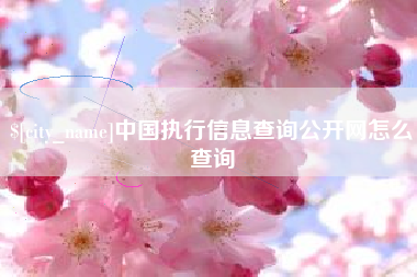 万宁中国执行信息查询公开网怎么查询