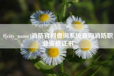 万宁消防官网查询系统查询消防职业资格证书