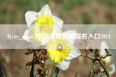 万宁中国消防官网报名入口2024