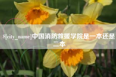 万宁中国消防救援学院是一本还是二本
