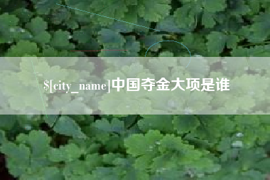 万宁中国夺金大项是谁