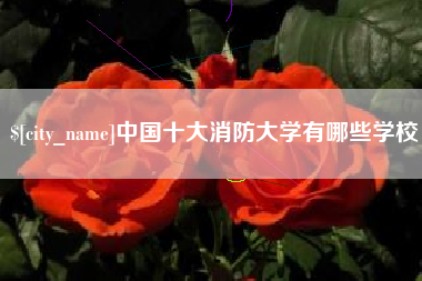 万宁中国十大消防大学有哪些学校