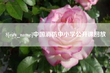 万宁中国消防中小学公开课回放