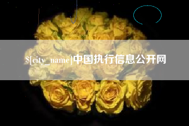 万宁中国执行信息公开网