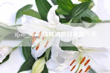万宁森林消防日是哪一天