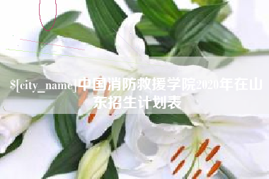 万宁中国消防救援学院2020年在山东招生计划表
