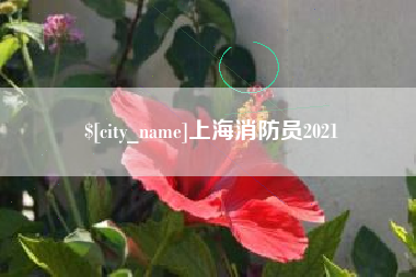 万宁上海消防员2021