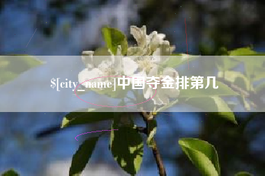 万宁中国夺金排第几