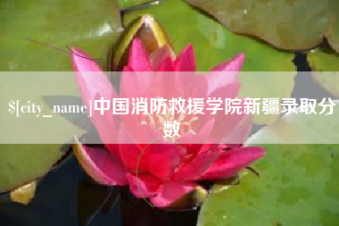万宁中国消防救援学院新疆录取分数