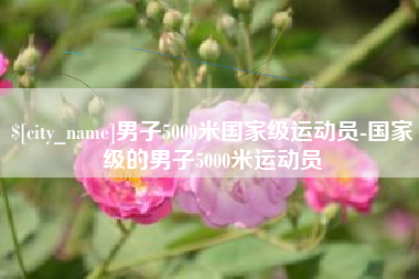 万宁男子5000米国家级运动员-国家级的男子5000米运动员