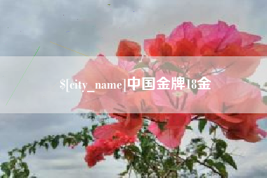 万宁中国金牌18金