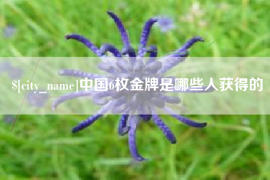 万宁中国6枚金牌是哪些人获得的
