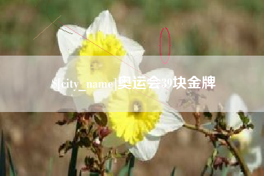万宁奥运会39块金牌