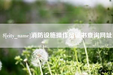 万宁消防设施操作员证书查询网址