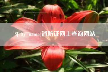 万宁消防证网上查询网站